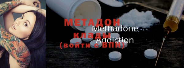 индика Алексин