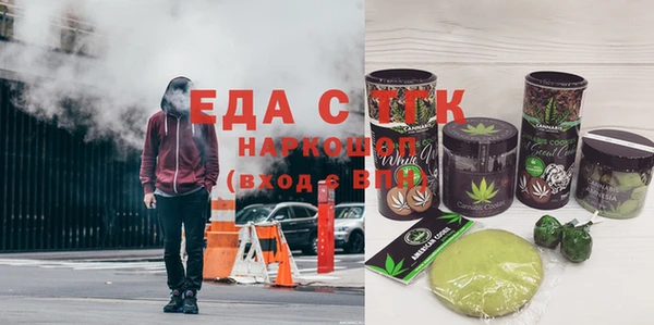 индика Алексин