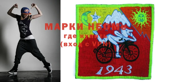 индика Алексин