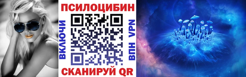 где найти   Боровск  Псилоцибиновые грибы Psilocybine cubensis 