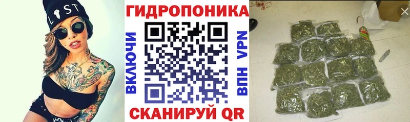 hydra как зайти  где купить наркоту  Боровск  Конопля Amnesia 